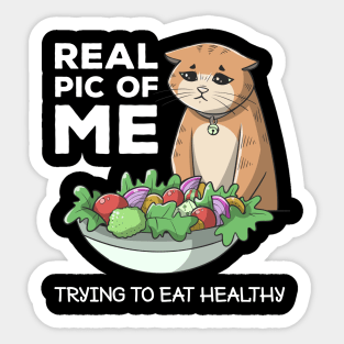 Funny Diet Cat Weightloss Fasting Gym Workout Fitness Health Sticker